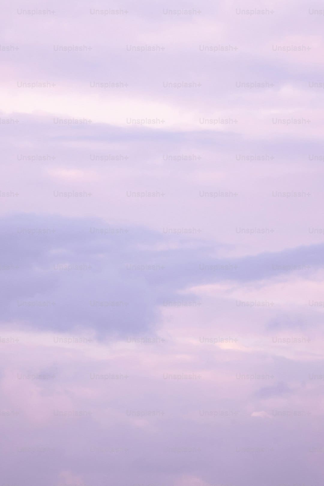 《白玫瑰》刘钢身份是什么 刘钢身边的女性是谁